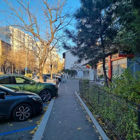 The Wooden Line - Modern Retreat Near Victoriei Apartment *