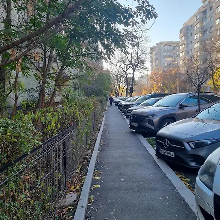 The Wooden Line - Modern Retreat Near Victoriei Apartment