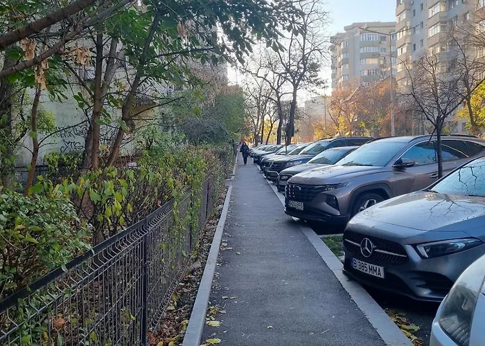 The Wooden Line Near Piata Victoriei Netflix And Workspace Apartamento